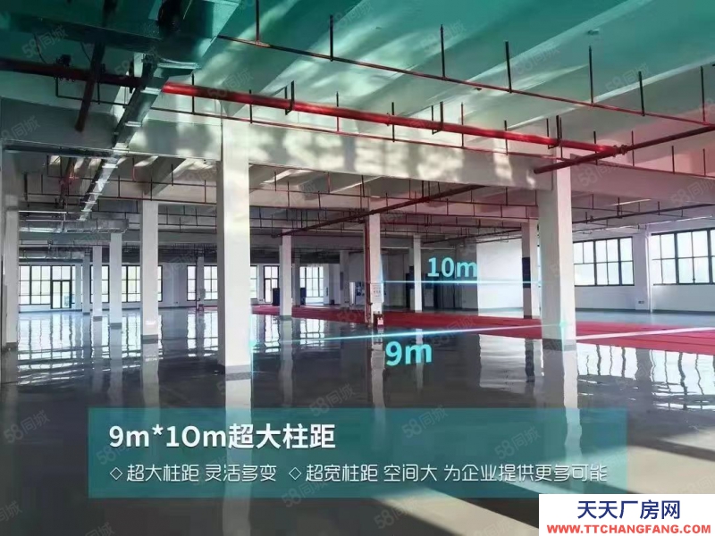 (出租) 惠阳淡水智能制造产业园招租100万平米高端行业低门槛进入