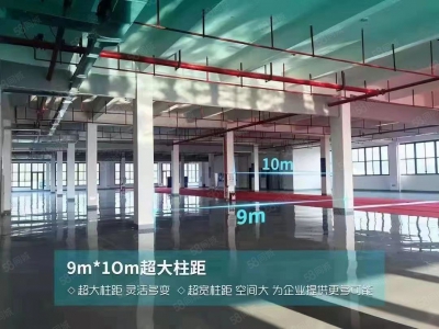 (出租) 惠阳淡水智能制造产业园招租100万平米高端行业低门槛进入图2