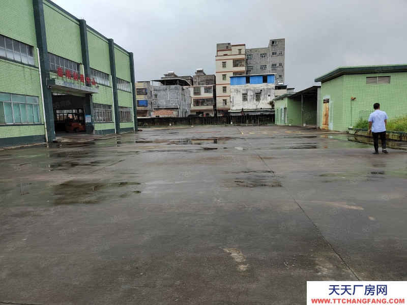 (出租) 惠州惠阳区工业园红本钢构厂房空地一比一独院出租