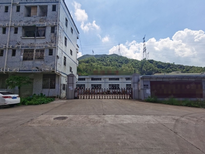 (出租) 惠阳三和原房东独门独院钢结构滴水八米高11000平方低价出租图1