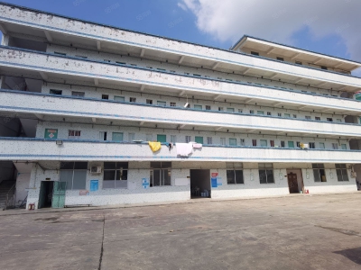 (出租) 惠阳三和原房东独门独院钢结构滴水八米高11000平方低价出租图4