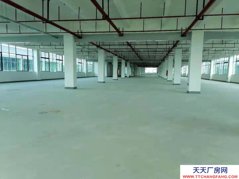 (出租) 惠阳原房东一楼1500平米低价招租
