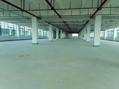 (出租) 惠阳原房东一楼1500平米低价招租图1