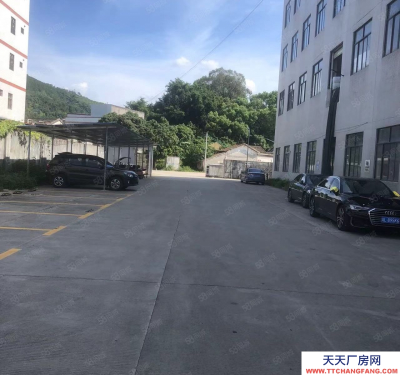 (出租) 惠阳原房东一楼1500平米低价招租
