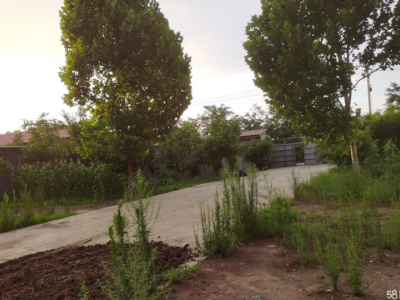 邢台 隆尧 (出租) 总4亩地。原来做环保设备图2