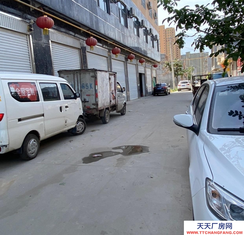 邢台 隆尧 (出租) 停车方便交通方便可以放货