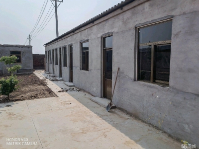 邢台 任县  (出租) 整院出租，交通方便！水电齐全！图3