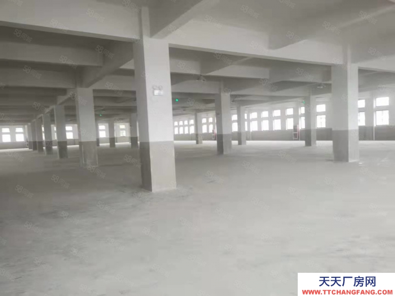 (出租) 安吉上墅乡2层1000方标准厂房出租
