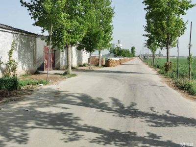 邢台 任县  (出租) 大豆村村北，总面积6亩，车间，库房，钢棚结构共1100平方图3