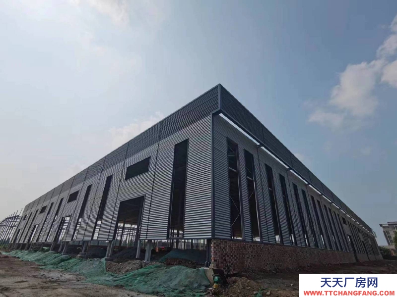 邢台 任县  (出售) 邢台市任县标准厂房层高12米可上十吨天车