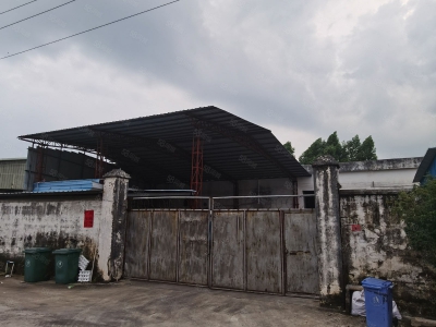 (出租) 惠州博罗石湾国道边独院钢构厂房带宿舍办公滴水7米1500平出租图1