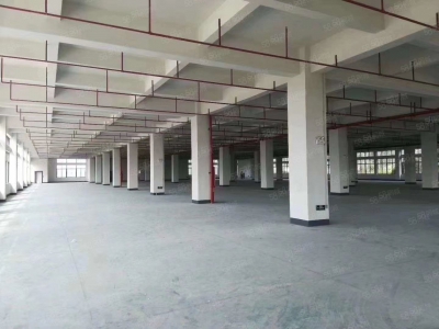 (出租) 惠州博罗龙溪电镀基地附近工业园15万标准厂房招租(可整租分租)图4