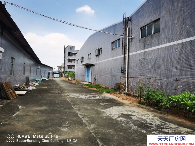 (出租) 惠州博罗新出超大空地单一层厂房15000空地15000，价格超低