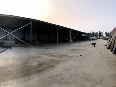 邢台 任县  (出售) 【出租 出售】配套齐全，1000平冷库可用于加工物流图3