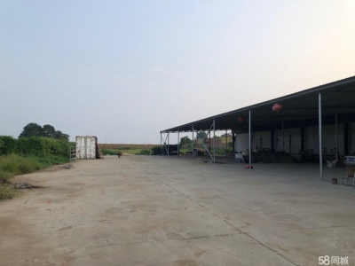 邢台 任县  (出售) 【出租 出售】配套齐全，1000平冷库可用于加工物流图4