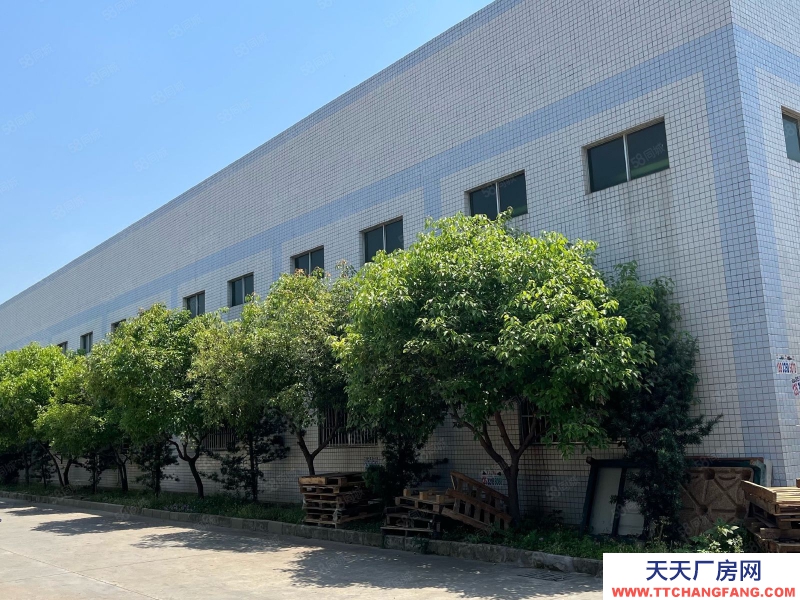 (出租) 惠州博罗食品加工龙溪原房东电镀厂房砖墙到顶单一层面积8000平方