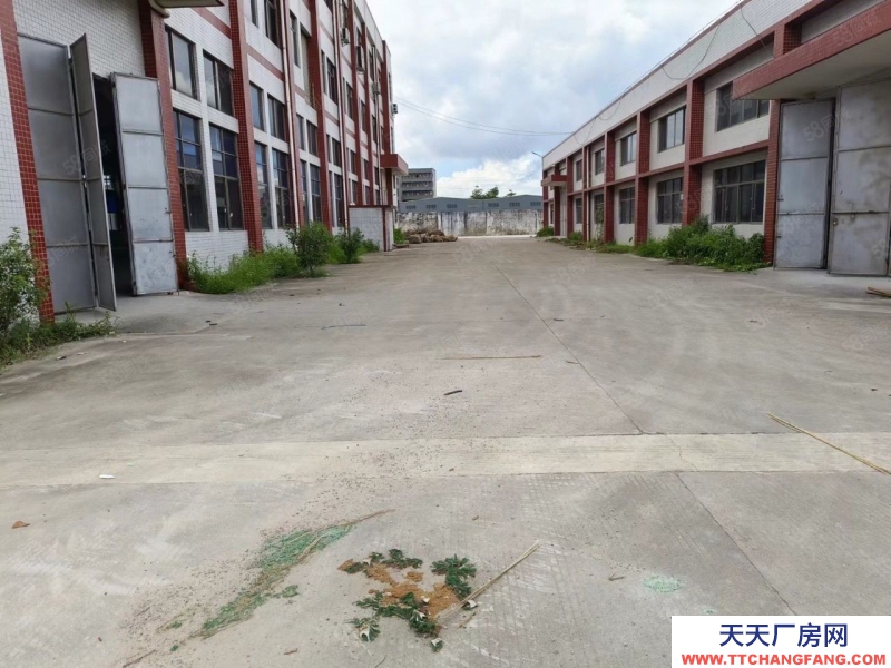 (出租) 惠州博罗石湾独院单一层加标准厂房4900平，现成装修