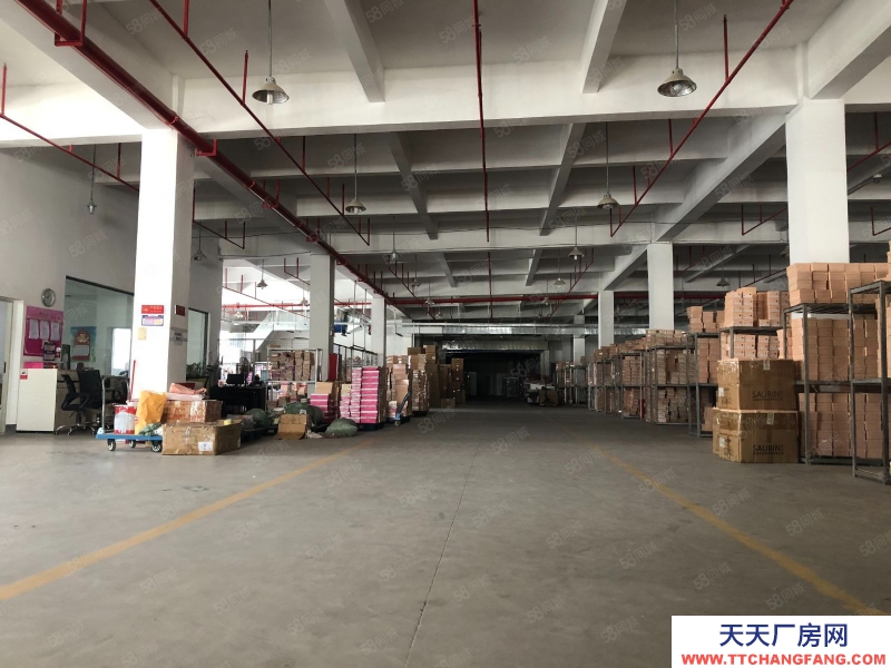 (出租) 惠州惠东大岭原房东独院独栋工本低价厂房出租自带抽立塑胶环评可分租适合大型机加工