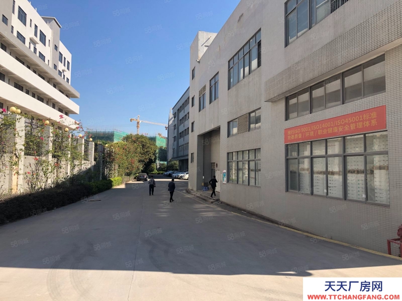 (出租) 惠州惠东大岭原房东独院独栋工本低价厂房出租自带抽立塑胶环评可分租适合大型机加工