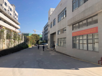 (出租) 惠州惠东大岭原房东独院独栋工本低价厂房出租自带抽立塑胶环评可分租适合大型机加工图2