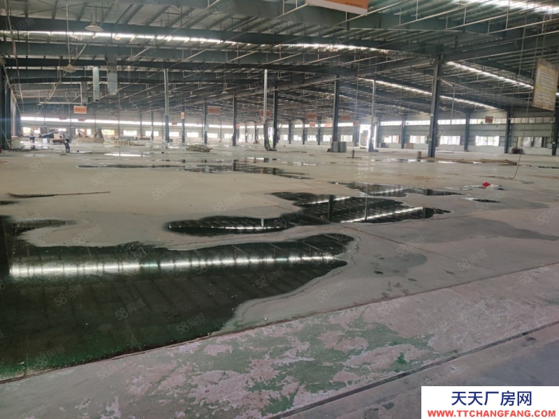 (出租) 惠州惠东钢构厂房出租，可分租，滴水9米！原房东实际面积出租