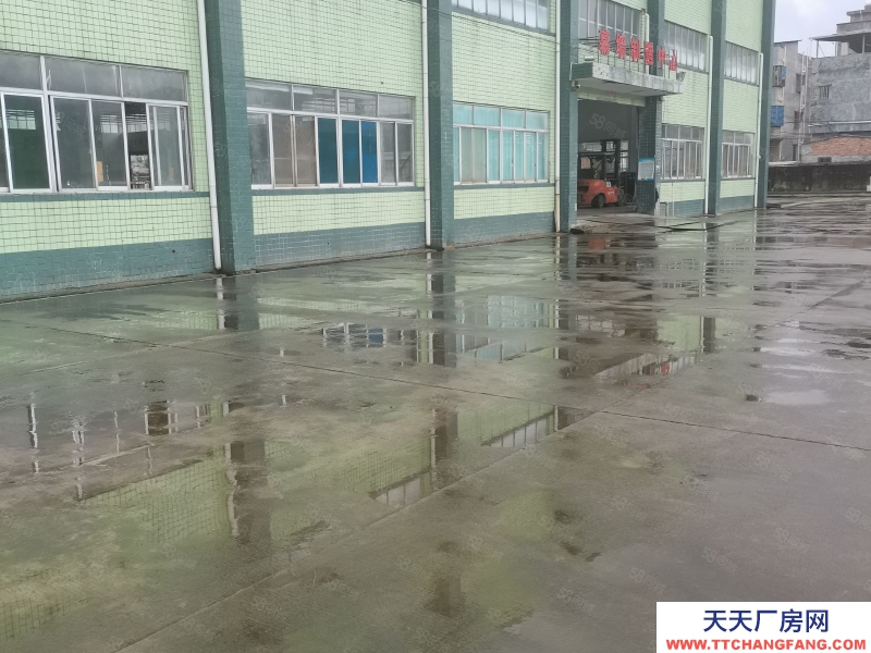 (出租) 惠州惠阳区新圩长布工业独院钢构3500平米厂房仓库出租适合重工业