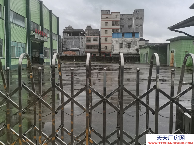 (出租) 惠州惠阳区新圩长布工业独院钢构3500平米厂房仓库出租适合重工业