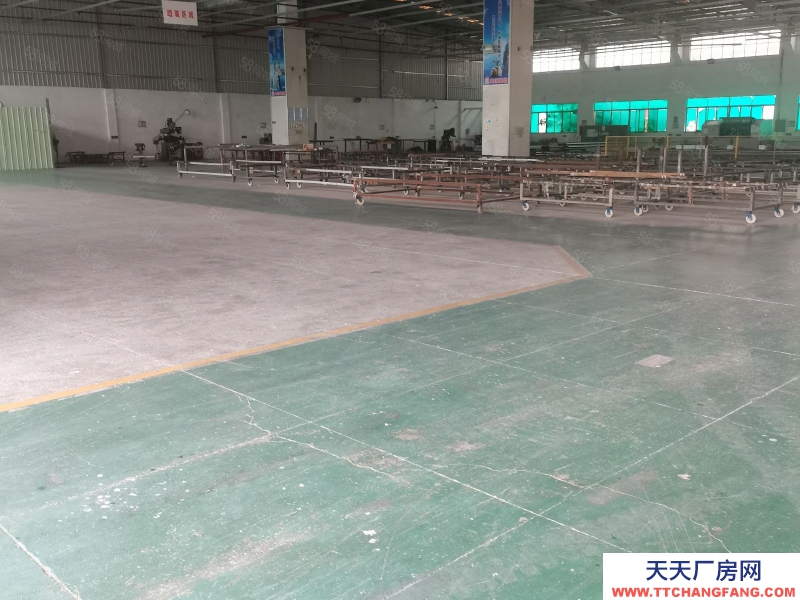 (出租) 惠州惠阳区新圩长布工业独院钢构3500平米厂房仓库出租适合重工业