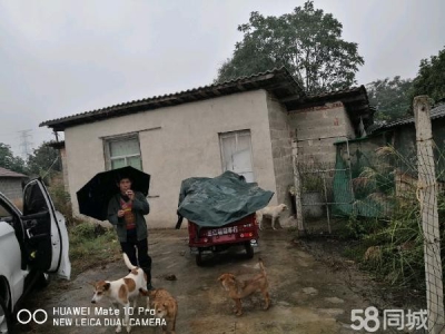 怀化市芷江区厂房出售  养猪场地，水电住宿厨房等齐全图1