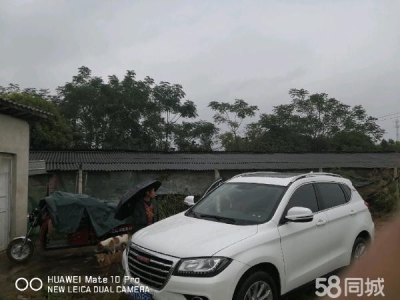 怀化市芷江区厂房出售  养猪场地，水电住宿厨房等齐全图2