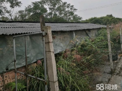 怀化市芷江区厂房出售  养猪场地，水电住宿厨房等齐全图4