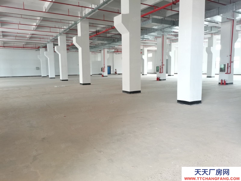 (出租) 惠州惠阳区低价大型成熟工业200000平米厂房出租