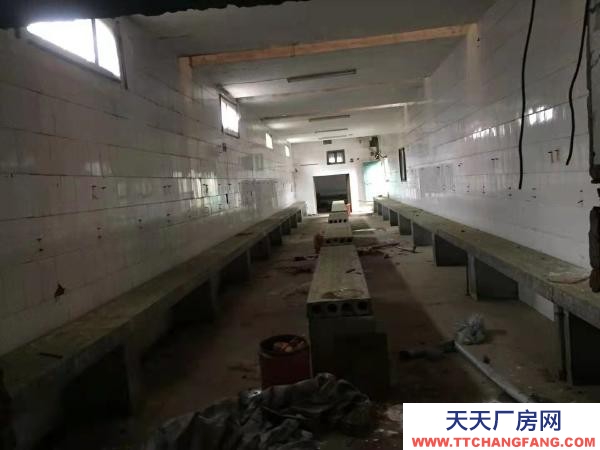 永州市冷水滩区厂房出租 水泥结构即可做仓库又可以做厂房 占地3000多的平米。