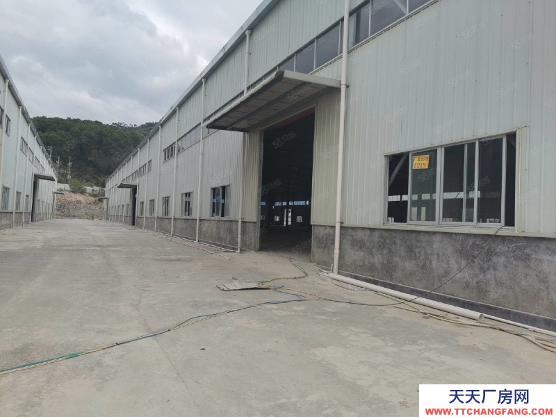 (出租) 惠州惠东原房东独院钢构厂房招租食品加工