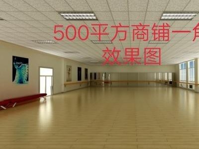 永州市冷水滩区厂房出售 冷水滩凤凰南路临街房屋出售图1
