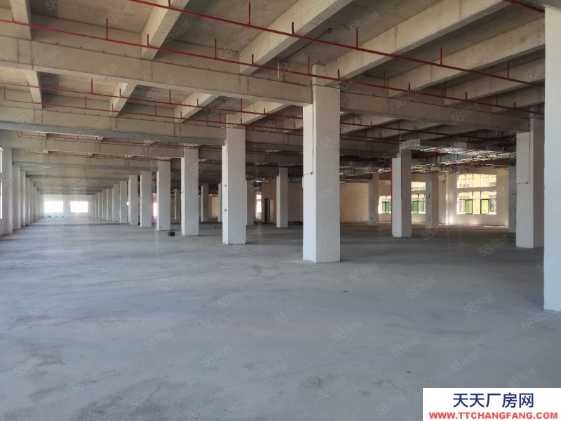 (出租)惠州龙门县77000平政府扶持可做污染行业