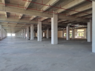 (出租)惠州龙门县77000平政府扶持可做污染行业图2