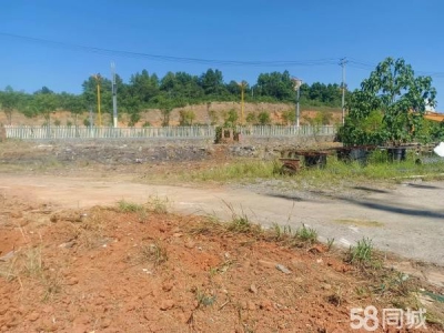 永州市冷水滩区仓库出租 在永州大道主路，办公房屋4间,简易厂房一栋,。水电齐全。图4