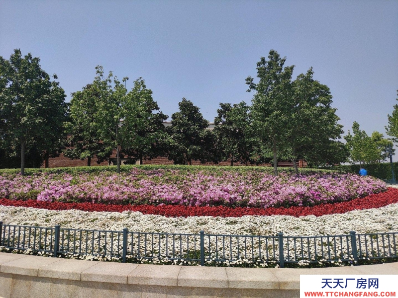 (出租) 10亩场地，办公楼两层400平米