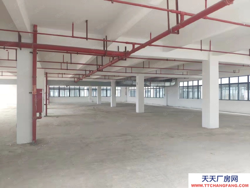 (出租) 惠州龙门县标准厂房大小分租工业园区招工方便适合医疗器械等行业