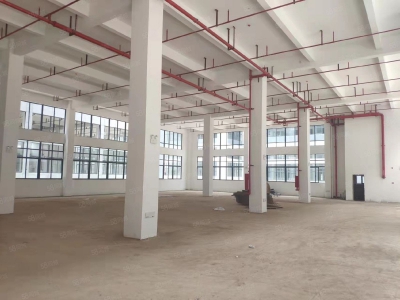 (出租) 惠州龙门县标准厂房大小分租工业园区招工方便适合医疗器械等行业图3