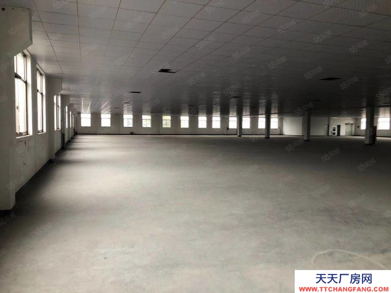 绍兴市越城(出租) 皋埠一楼2000方标准厂房出租，环境好，通道大。