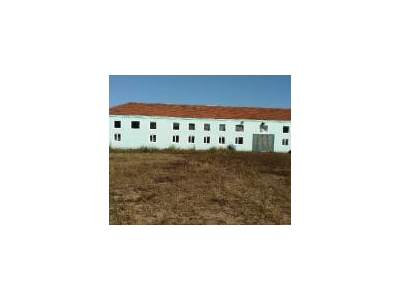 (出售)延边龙井 国有土地 土地面积4千平独门独院 还有两百多平的 简易房图2