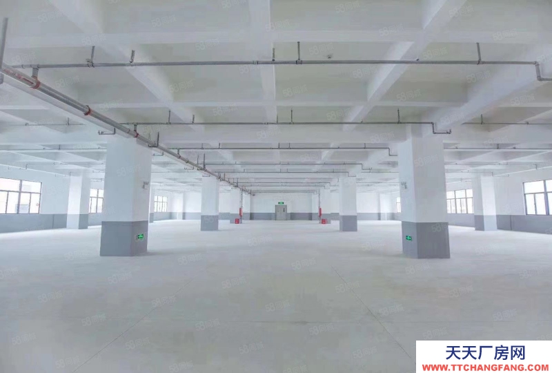 (出租) 惠州惠城区水口东江工业区独院10000平方厂房出租