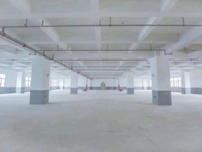 (出租) 惠州惠城区水口东江工业区独院10000平方厂房出租图1