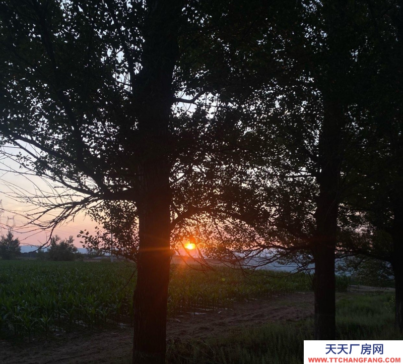 (出租) 只短租仓库大小都有，园区内有安保看守
