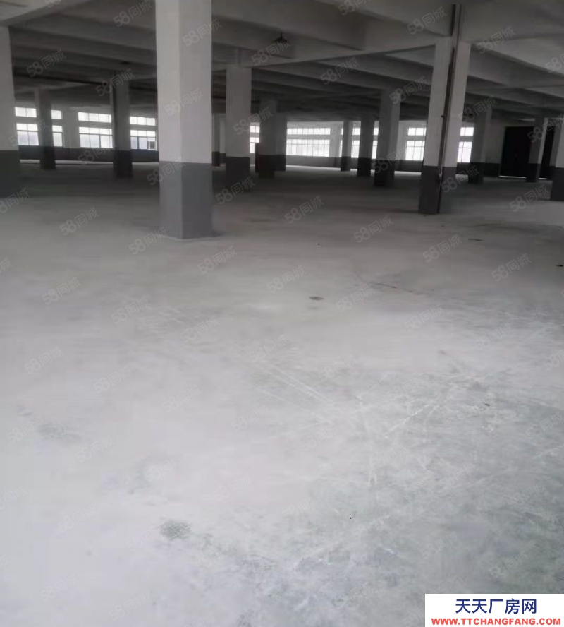 绍兴市越城(出售) 皋埠厂房比较新 大马路边地理位置佳 性价比高