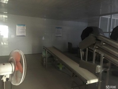 邢台 南和 (出租) 贾宋镇齐庄村 食品加工厂500平米图3