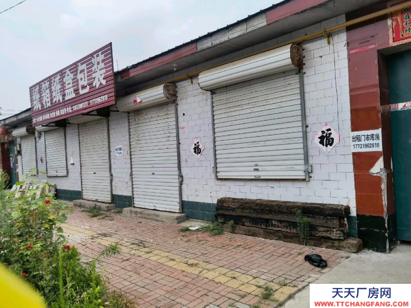 邢台 南和 (出租) 门市，院子，厨房，卧室，客厅。