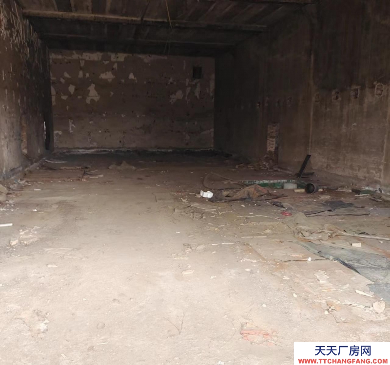 邢台 宁晋 (出租) 独立院子可做仓库，可做厂房